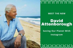 Meet The New David Attenborough Saving Our Planet With Instagram