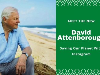 Meet The New David Attenborough Saving Our Planet With Instagram