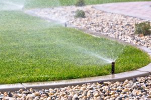 Save Water for Sustainable Backyard Upgrades