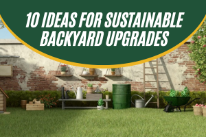 Top 10 Ideas for Sustainable Backyard Upgrades