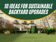 Top 10 Ideas for Sustainable Backyard Upgrades