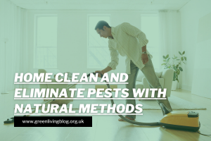 How To Keep Your Home Clean & Eliminate Pests With Natural Methods