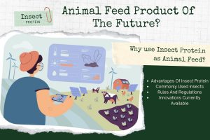 Sustainable Animal Feed Product