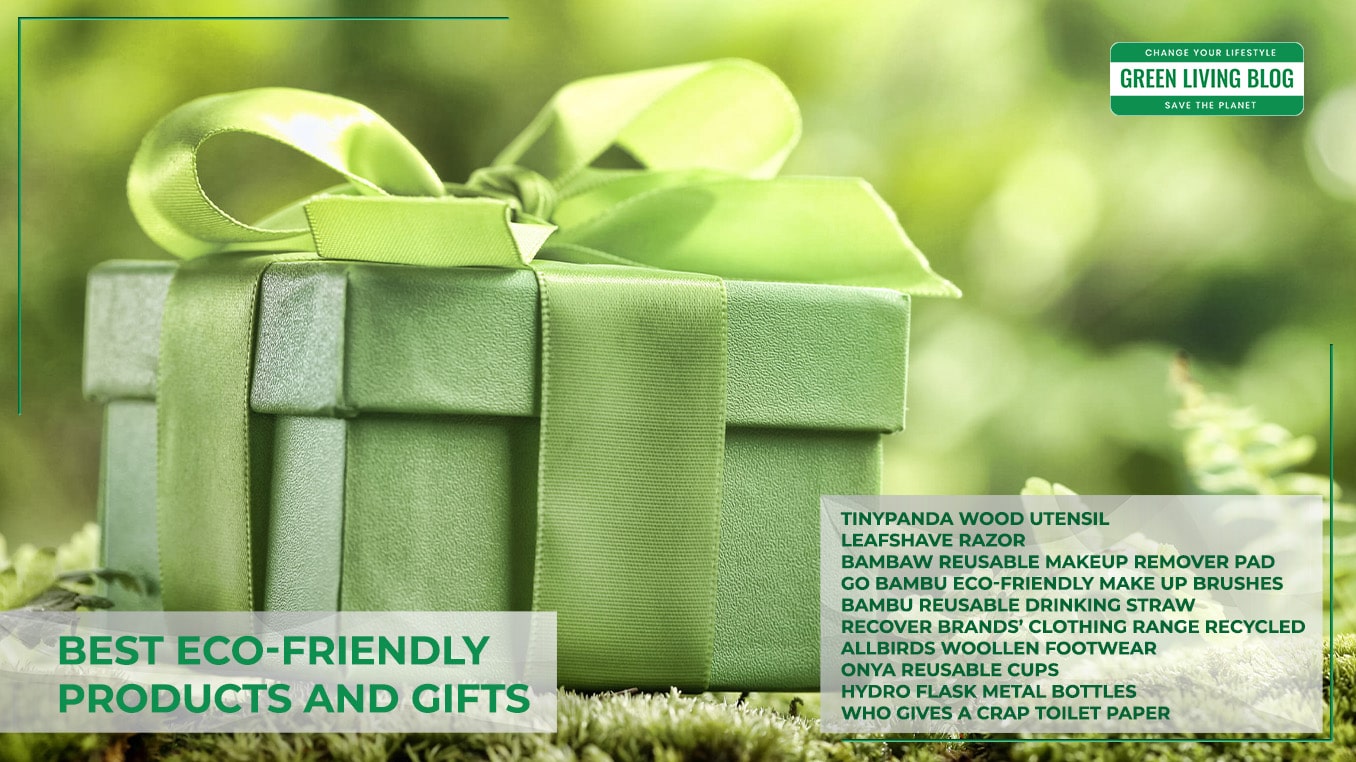Eco-Friendly Gifts for Businesses | Giftana India