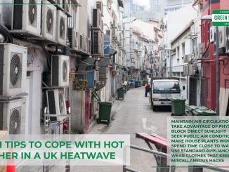 cope-with-heatwave-uk-in-green-way