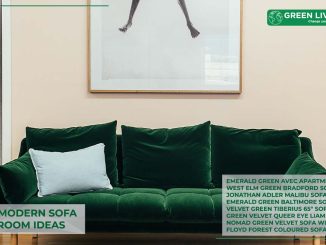 green-sofa-living-room-ideas