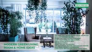 modern-green-living-room-and-home-ideas