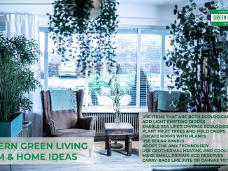 modern-green-living-room-and-home-ideas