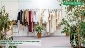 environmental-impact-of-clothing