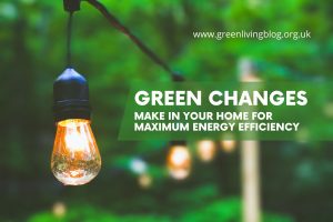 how-to-make-home-energy-efficient-and-green