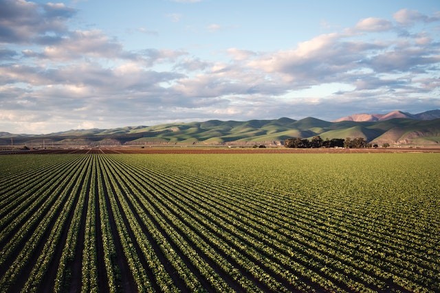 agriculture-sector-can-transition-to-low-carbon