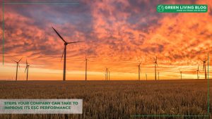 Company-can-Improve-its-ESG-Performance