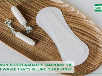 biodegradable-tampons-better-than-non-biodegradable-tampons