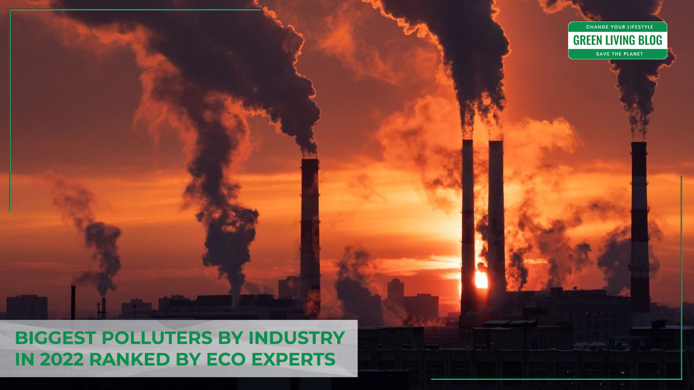 Top 7 Most Polluting Industries in 2022 by The Eco Experts