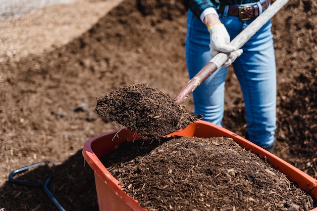 worm-farming-at-home-to-reduce-carbon-footprint