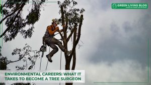 how-to-become-a-tree-surgeon