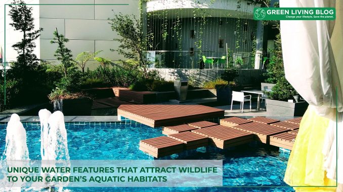 water-features-that-attract-wildlife-to-garden’s-aquatic-habitats