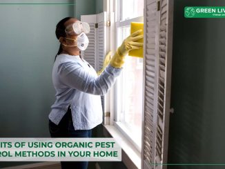 benefits-of-using-organic-pest-control-methods