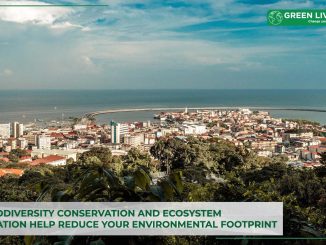 how-biodiversity-conservation-and-ecosystem-restoration-help-reduce-your-environmental-footprint