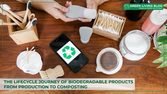 the-lifecycle-journey-of-biodegradable-products-from-production-to-composting