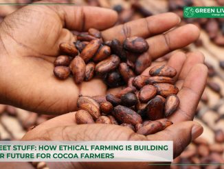 the-sweet-stuff-how-ethical-farming-is-building-a-better-future-for-cocoa-farmers