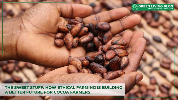 the-sweet-stuff-how-ethical-farming-is-building-a-better-future-for-cocoa-farmers