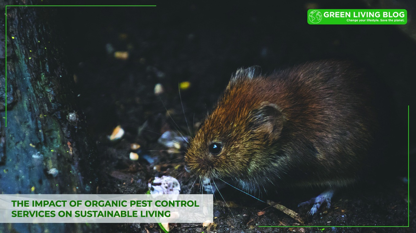 Impact of Organic Pest Control on Sustainable Living