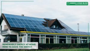 how-to-switch-to-renewable-energy-at-home