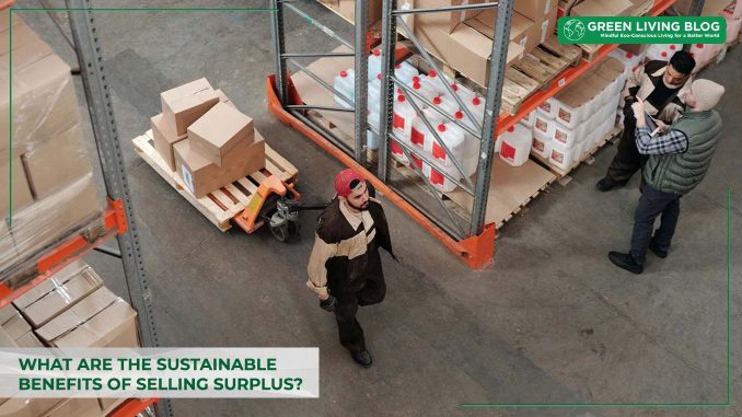 what-are-the-sustainable-benefits-of-selling-surplus