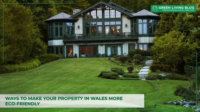 best-ways-to-make-your-property-in-wales-more-eco-friendly.