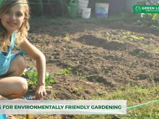 environmentally-friendly-gardening-tips.