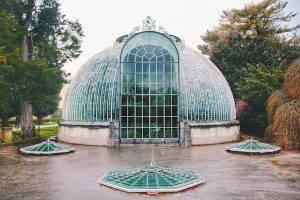 Definition-of-a-Lean-To-Greenhouse