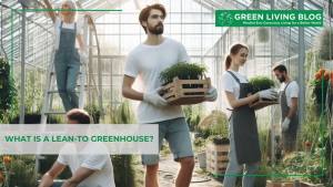 What Is A Lean-To Greenhouse