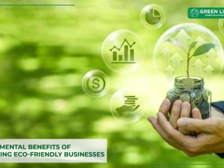 environmental-benefits-of-supporting-eco-friendly-businesses