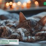 why-choose-eco-animal-bedding-for-pets