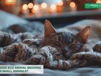 why-choose-eco-animal-bedding-for-pets