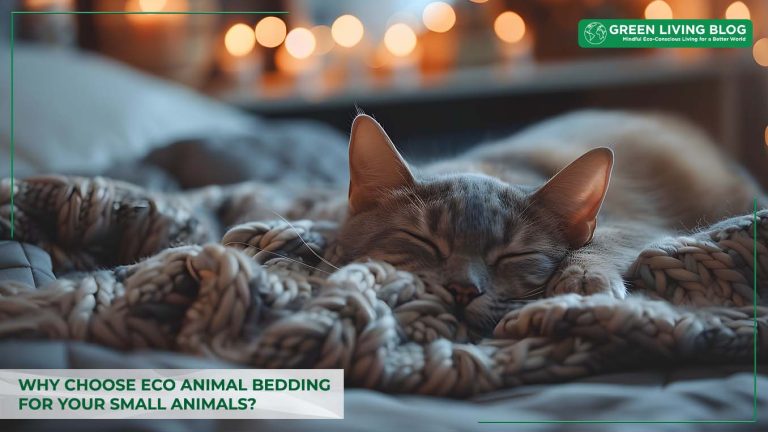 why-choose-eco-animal-bedding-for-pets