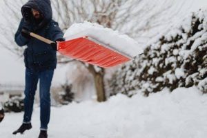 Why-Winter-Garden-Care-is-Important