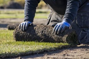 role-of-artificial-turf-in-urban-landscaping